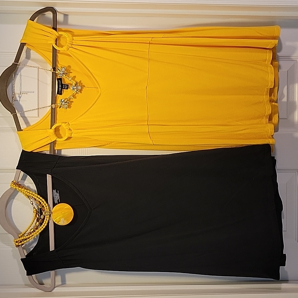 2 Lane Bryant Swing Tops